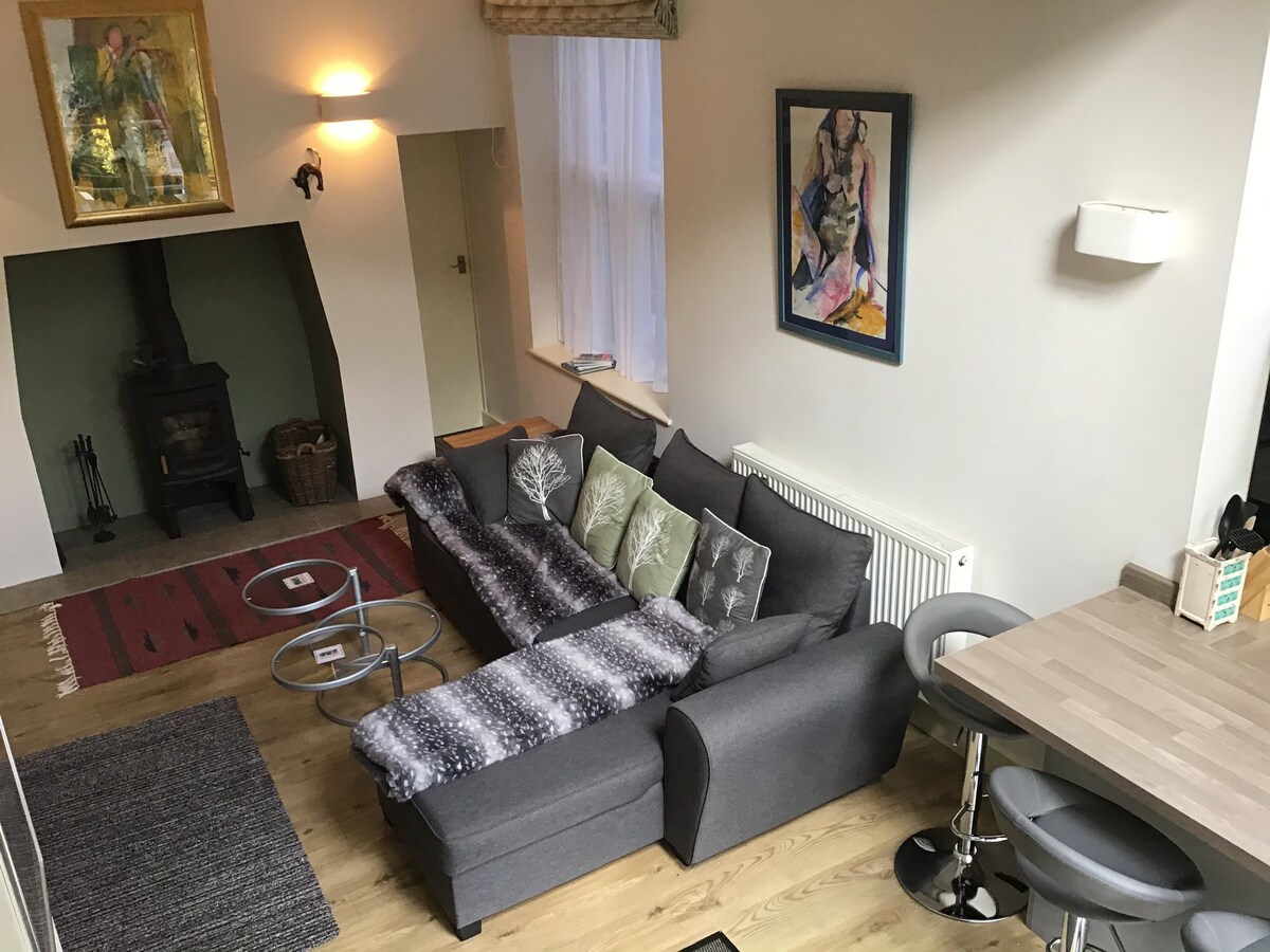 Living room and open plan kitchen with log burner