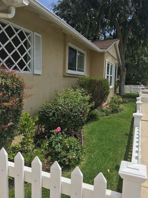 Side garden