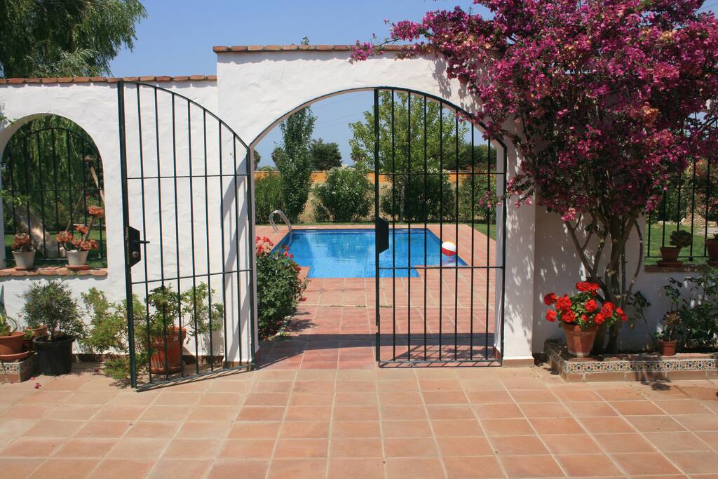Vista desde el patio