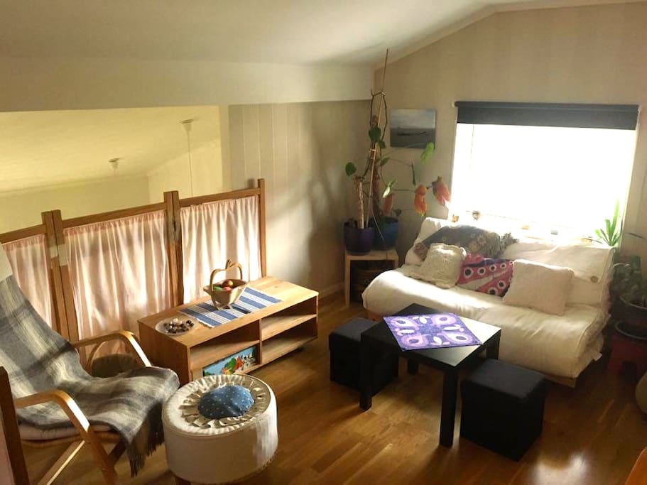 Private living room with a convertible couch (double) and an extra bed (single)