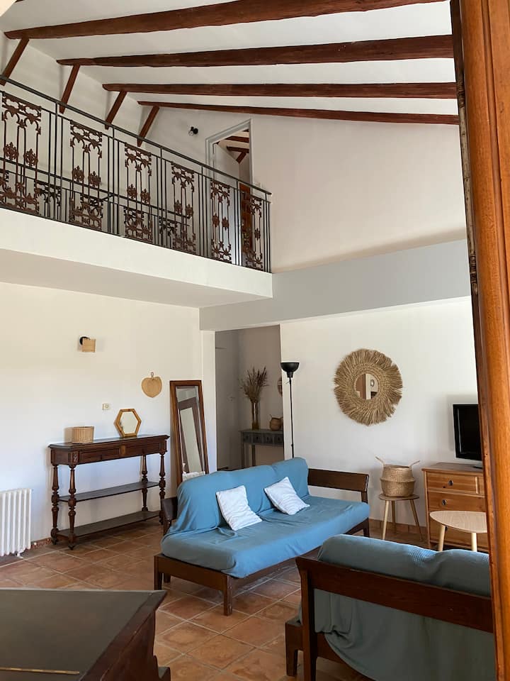 Duplex Et Son Coin Détente Jardin Dans Mas Cévenol - Sauve