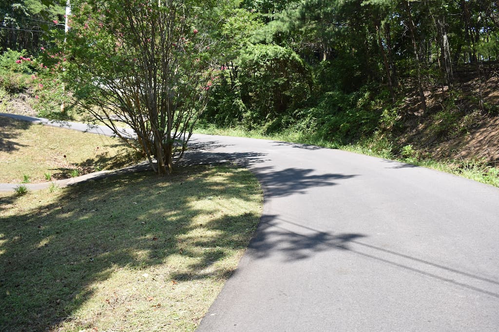 The road and drive way to the cabin