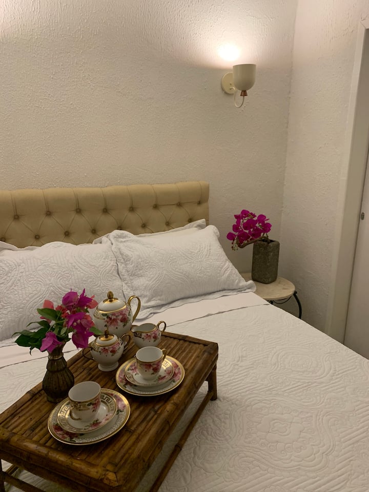 带空调和标准双人床的套房 