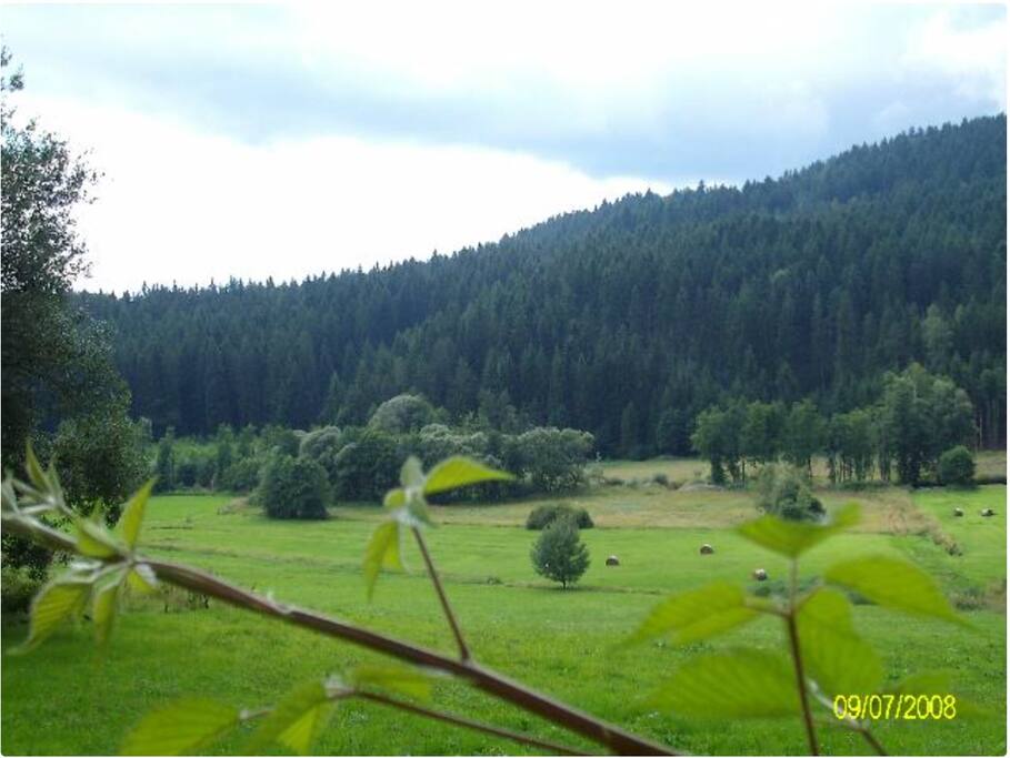 Blick von Terasse