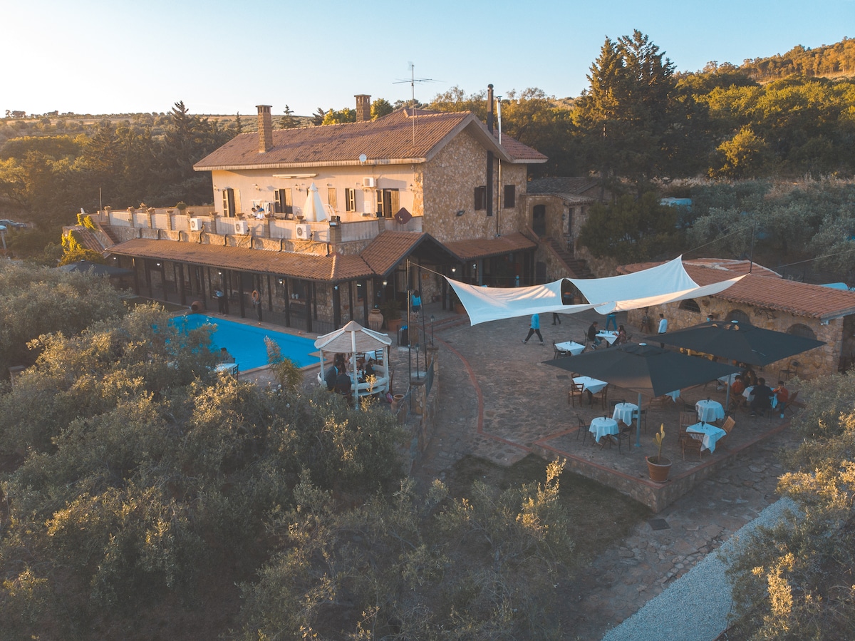 The property features a stone building with a terracotta roof surrounded by olive trees, showcasing an inviting swimming pool. A shaded terrace area with tables and umbrellas offers space for outdoor dining and relaxation, with a scenic view of the countryside.