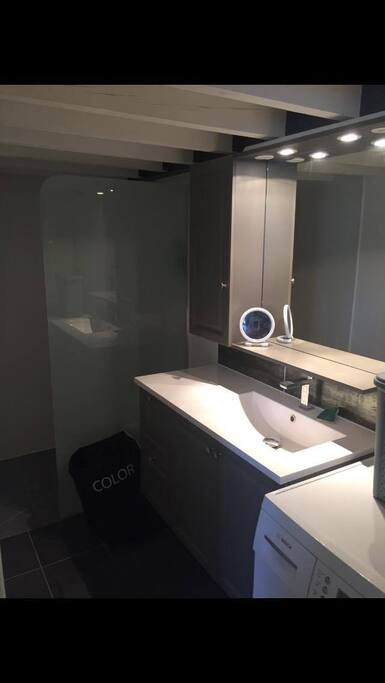 Salle de bain équipée d'une machine à lavé qui fait également sèche linge