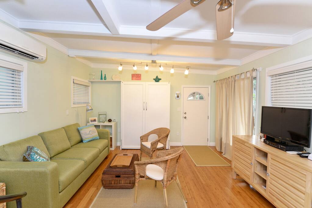 entrance into Cottage, Murphy bed perpendicular to green sofa