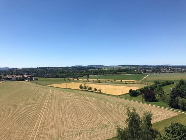 Stadtnahe, moderne & ruhig gelegene 3-ZWhg