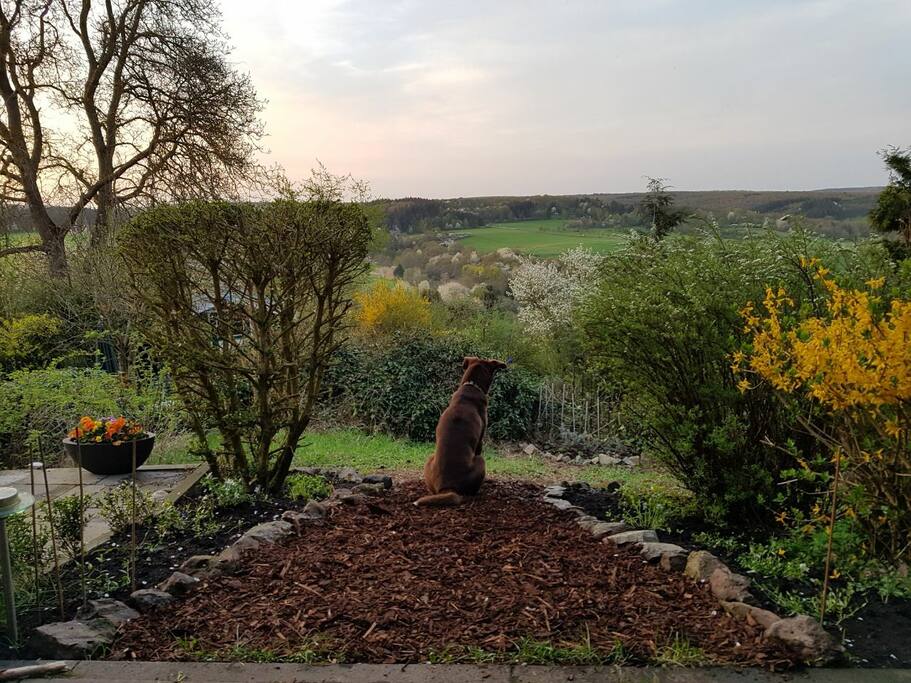 Frühling!
