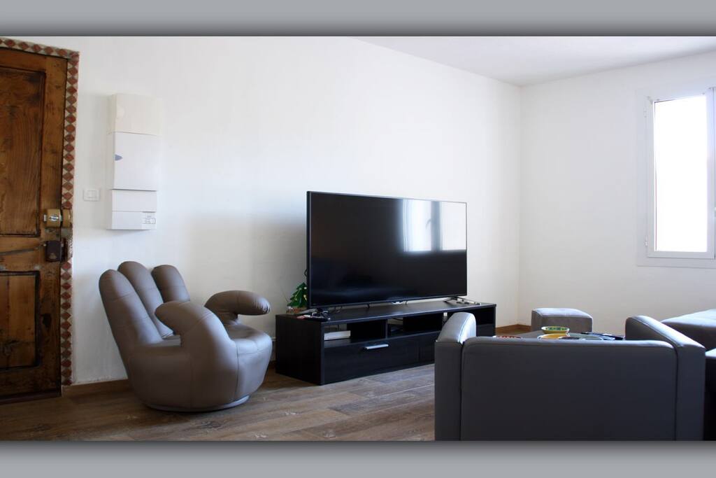 salon avec grande TV