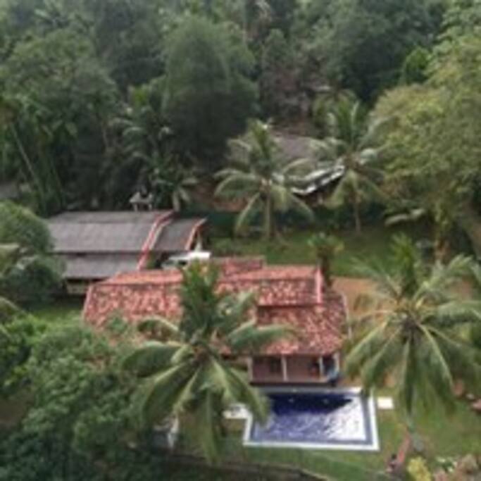 Aerial view of Lanka rose