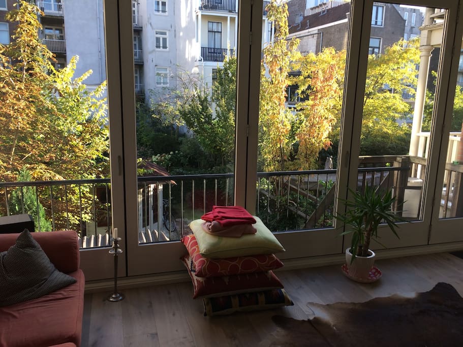Autumn at the back of the house.