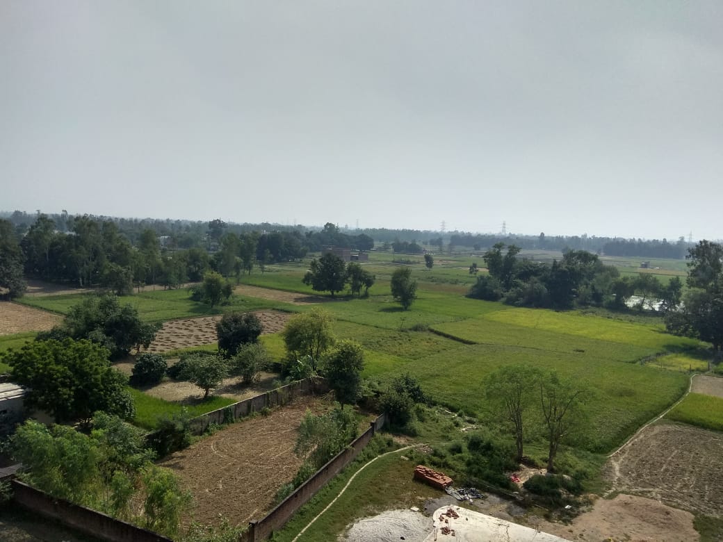 A wide view of lush green farms stretches across the landscape, dotted with trees and organized patches of cultivated land. The sky appears clear, offering a tranquil ambiance away from urban hustle. This serene setting is complemented by distant power lines and a soft horizon.