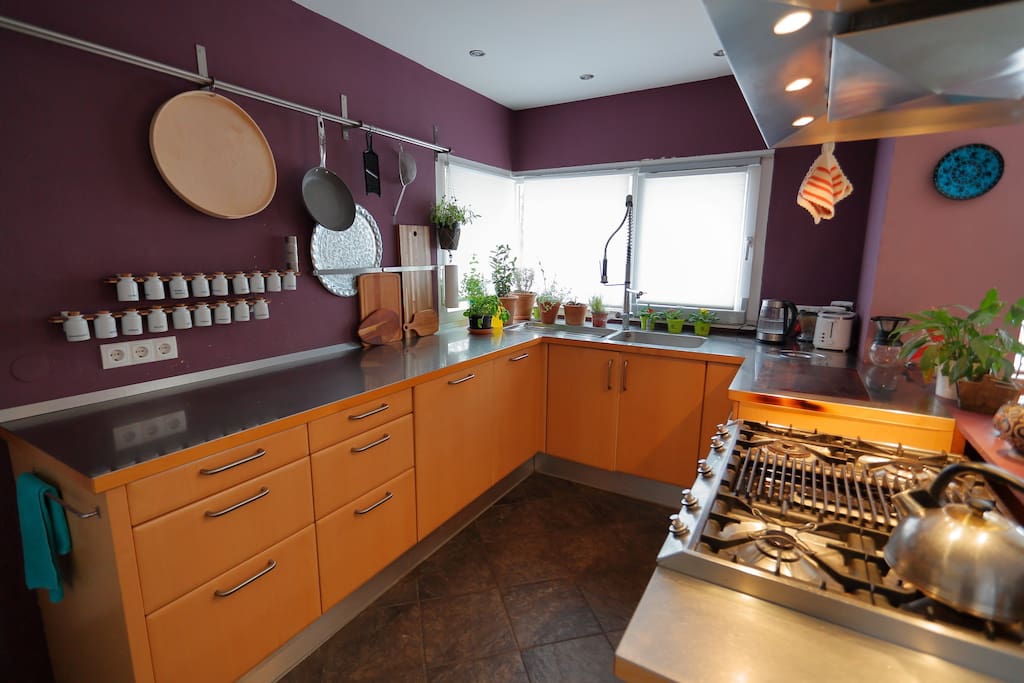 Spacious professional kitchen
