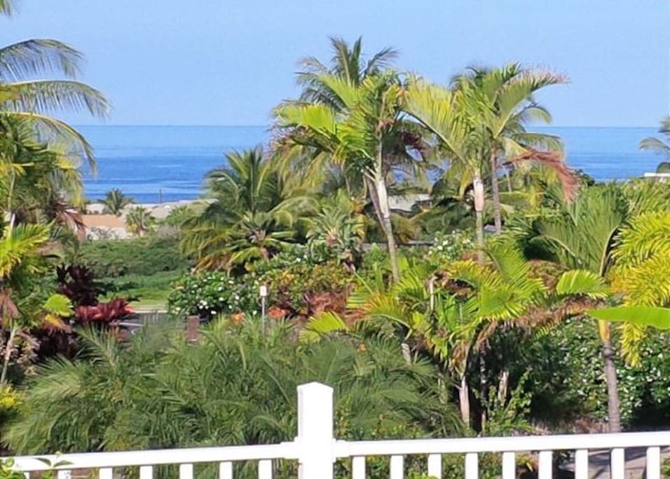 Ocean Views from the Pool