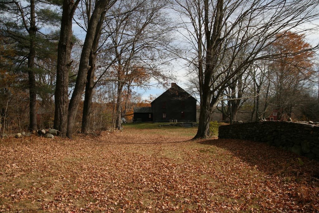 View from the Lane - the historic name for a walk in the back acreage,