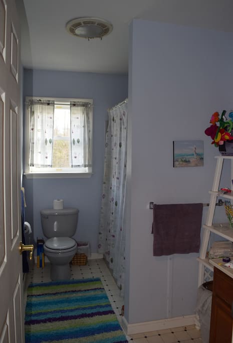 Shared Bathroom