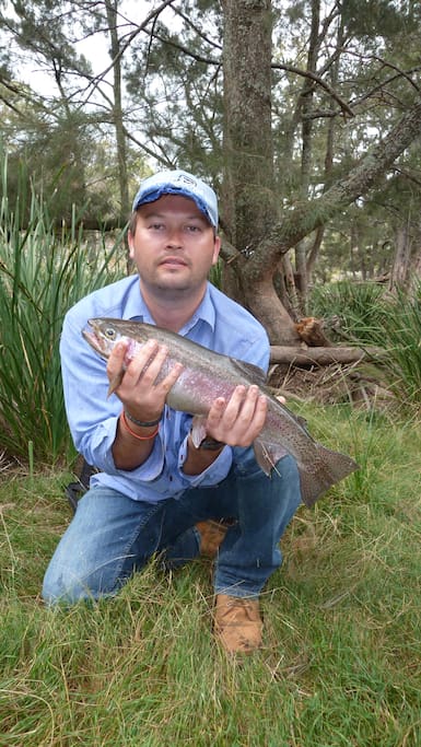 Catch a trout from our stream