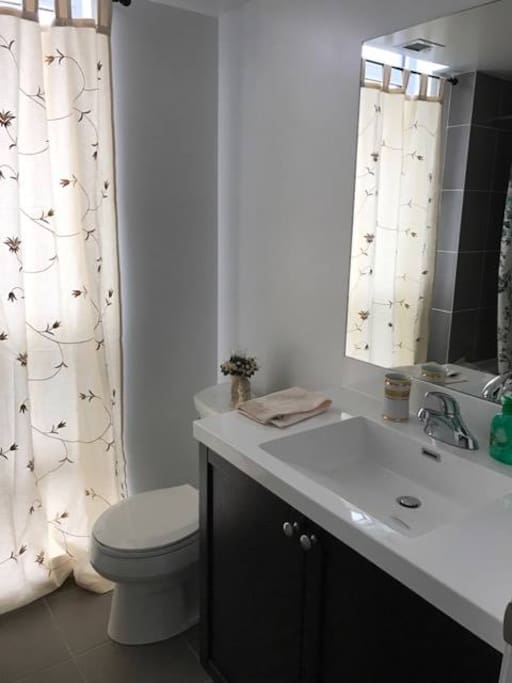 Bathroom in the master bedroom. Includes bath tub.