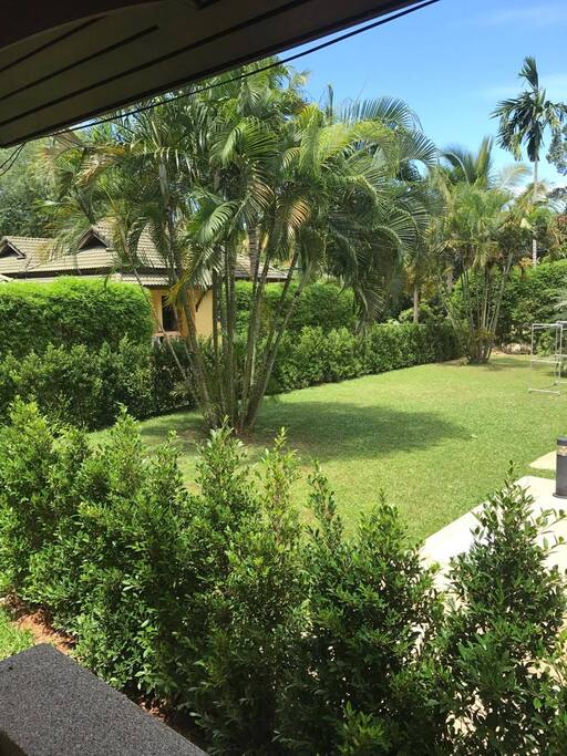 Jardin