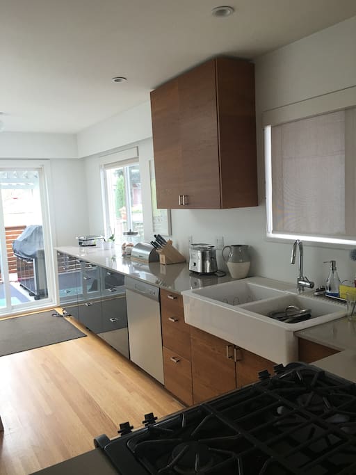Double farm-style sink and dishwasher.