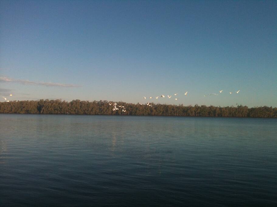 1 minute walk to the river