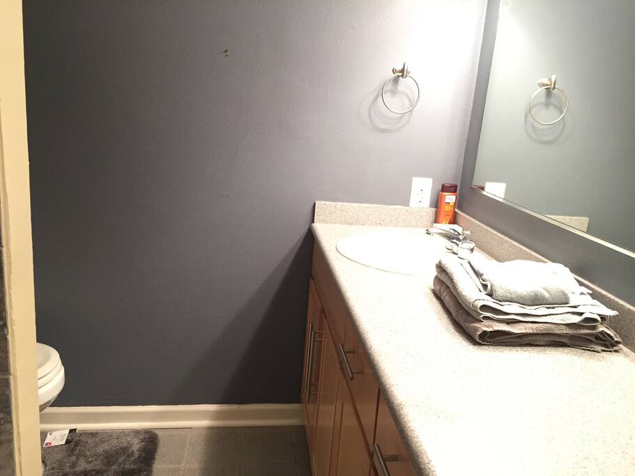 bathroom in northern master room