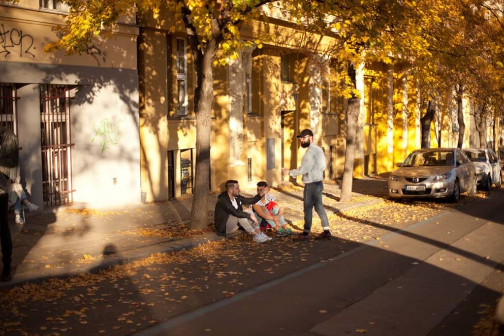 Entrance in the fall