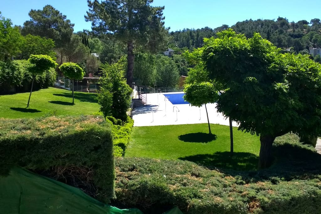 Piscina y zonas ajardinadas - Club Social