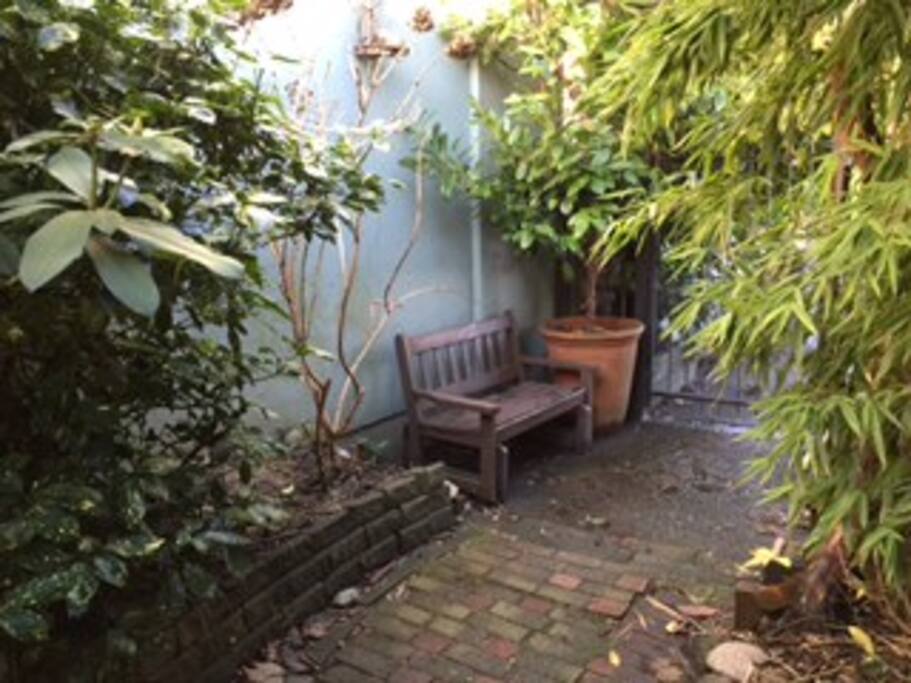 our back yard