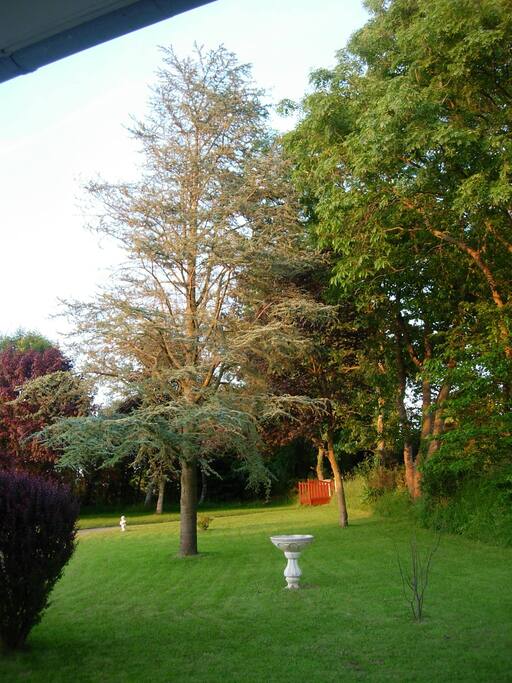 le jardin
