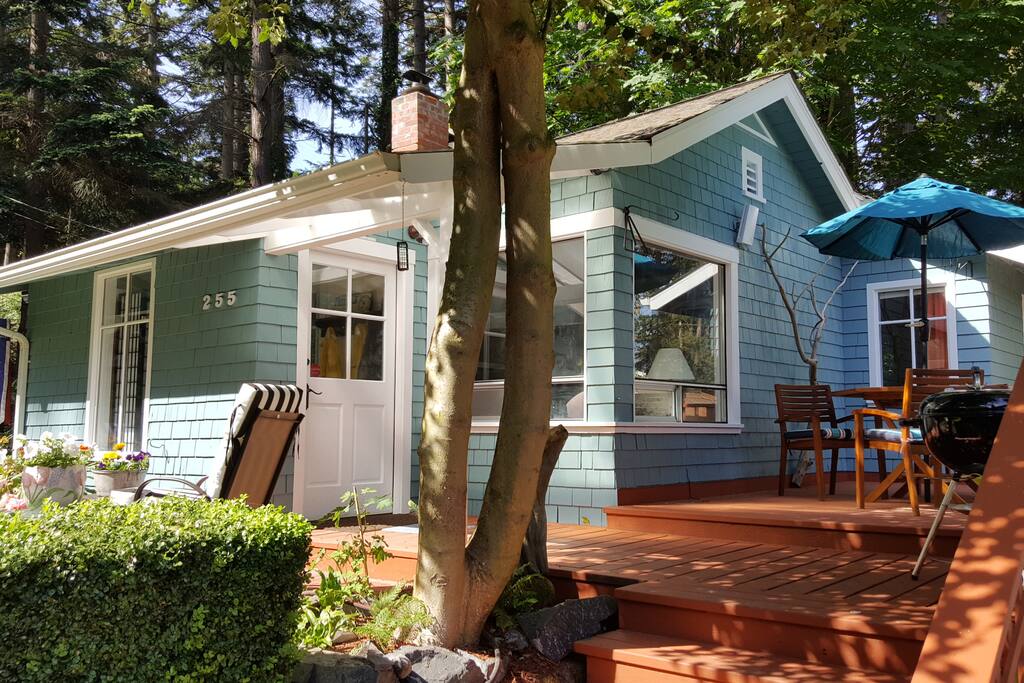 Entry to deck. BIG trees and forest walks up the road.