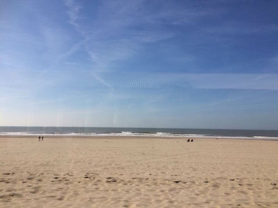 de kust tussen Kijkduin en Scheveningen