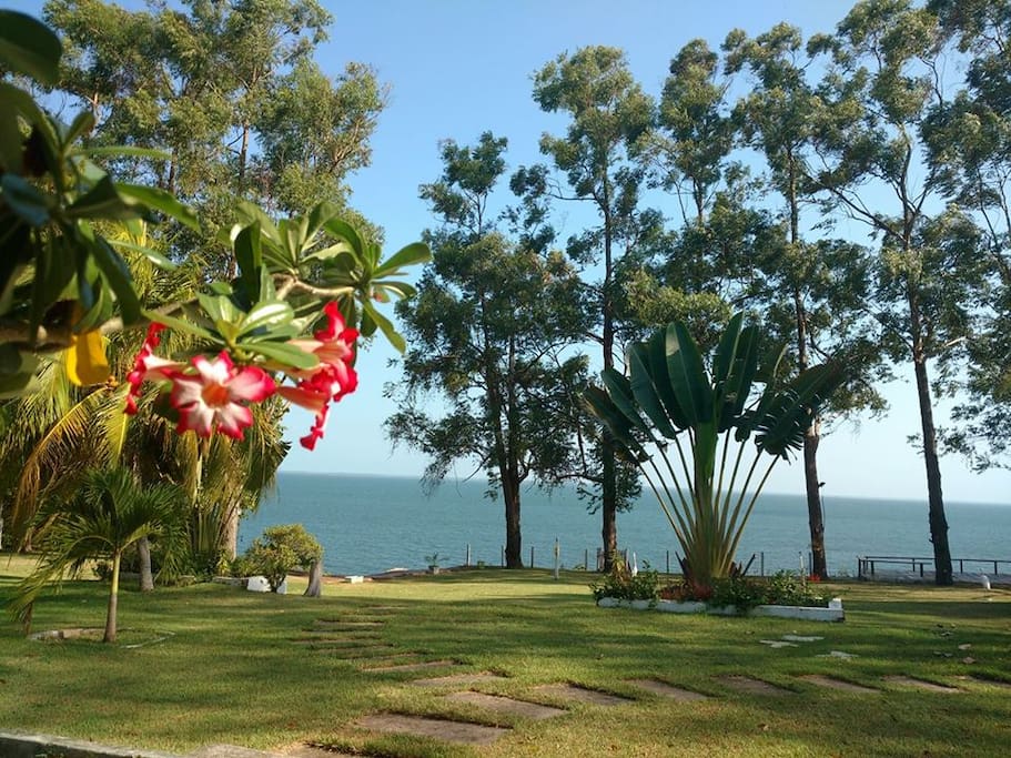 Jardim frente da residencia