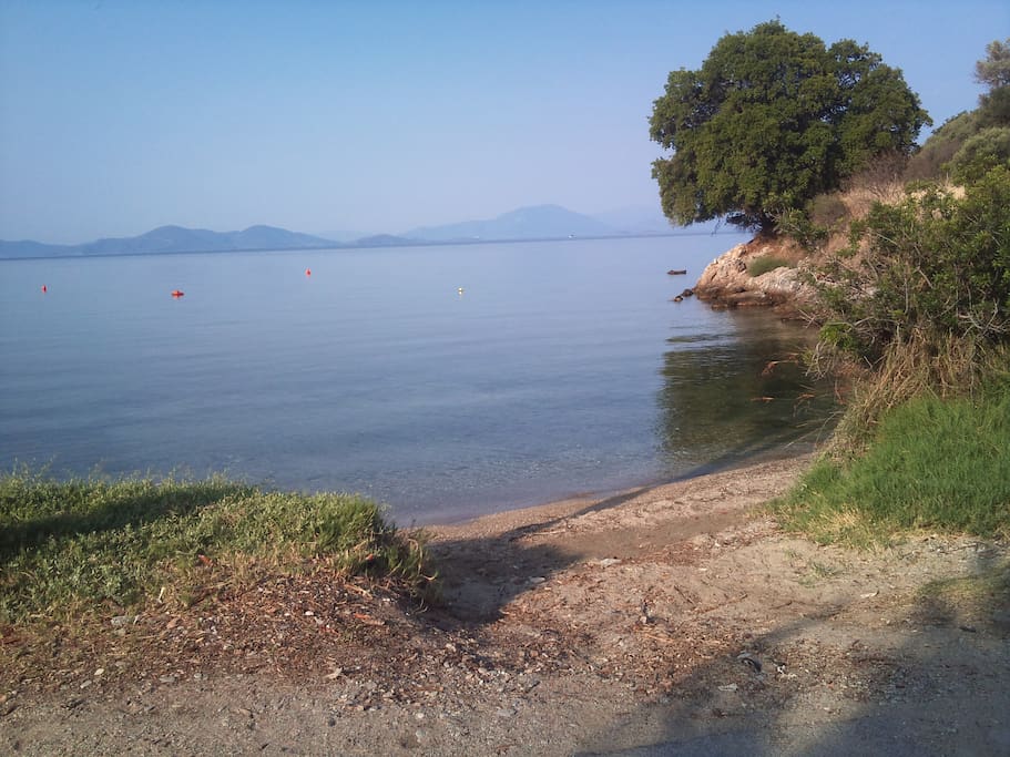 the seaside area