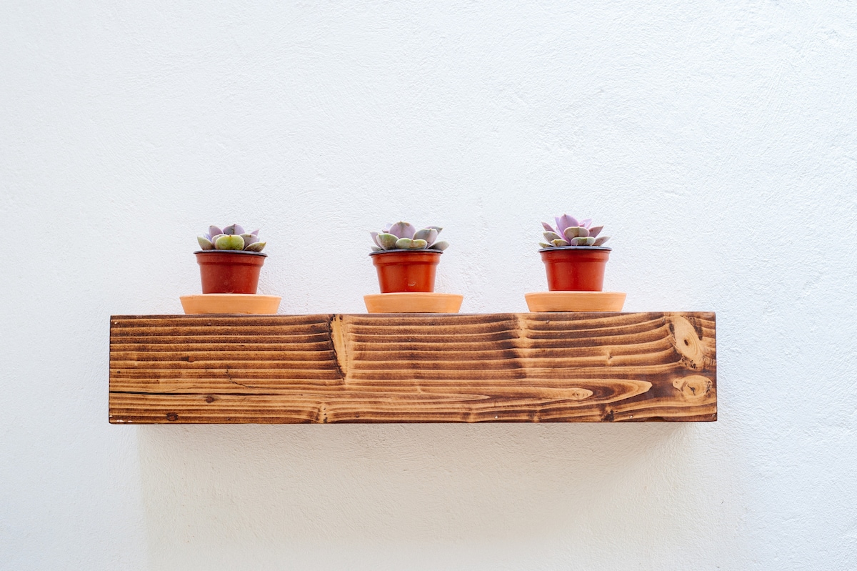 A wooden shelf displays three terracotta pots, each containing small succulents. The pots are arranged evenly, adding a touch of greenery against the white wall, contributing to the overall aesthetic of the space.