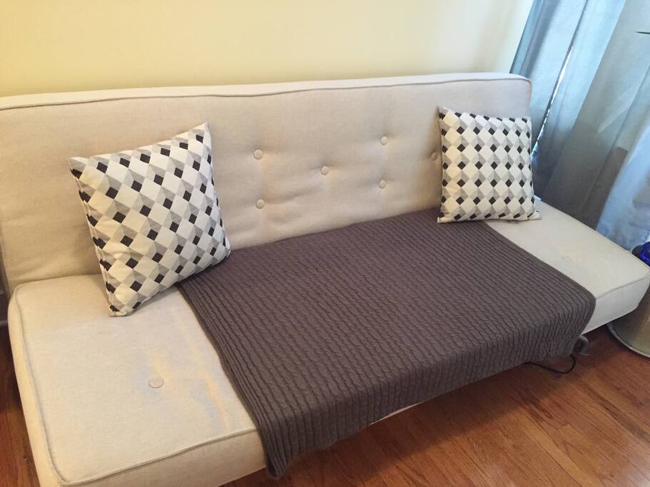 Comfy futon/couch folds out to full size bed.