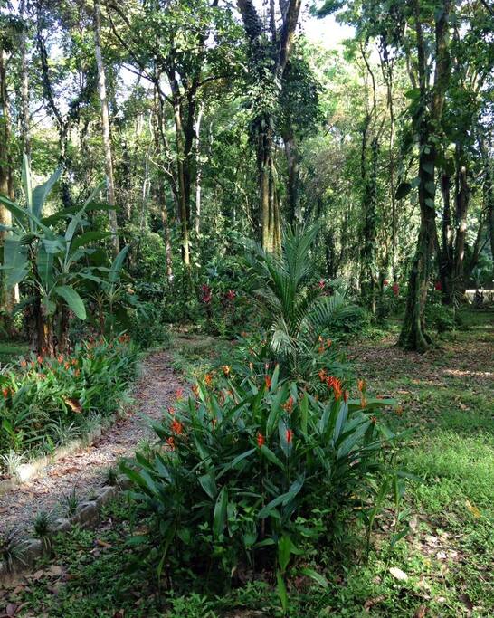 Entrance path