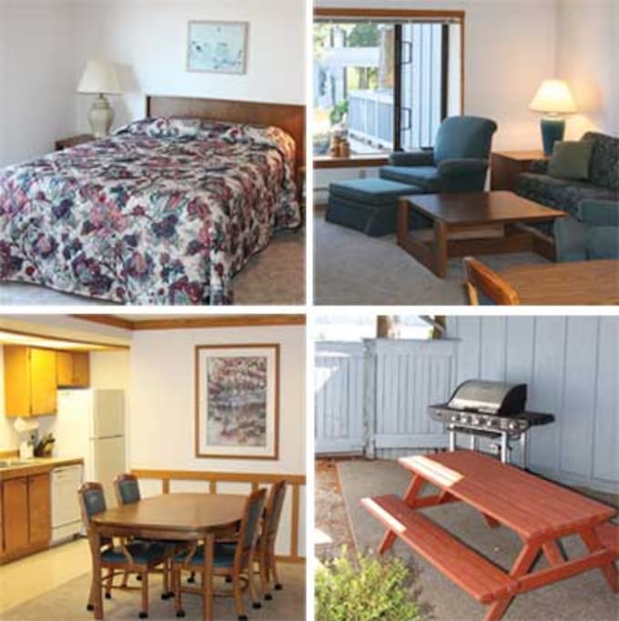 Unit interiors and back patio
