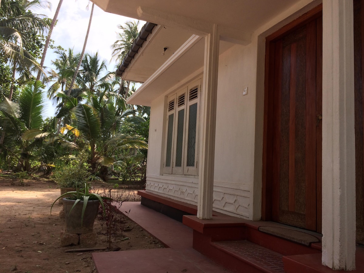 The entrance showcases a charming wooden door, framed by several large windows with intricate designs. Lush green coconut trees surround the pathway, highlighting the bungalow's connection to its natural setting. A simple doormat is positioned at the foot of the steps.
