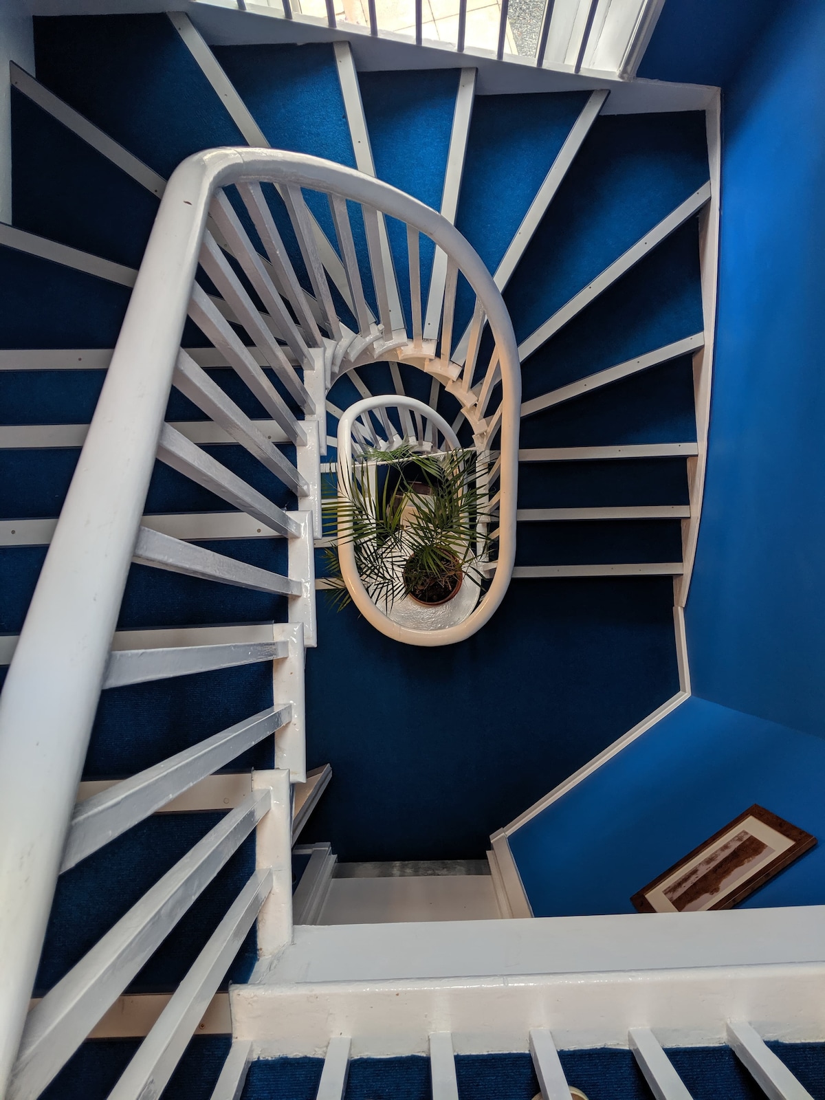 The spiral staircase is highlighted by white railings and steps leading to a vibrant blue wall. A potted plant is positioned at the base of the staircase, adding a touch of greenery to the scene.