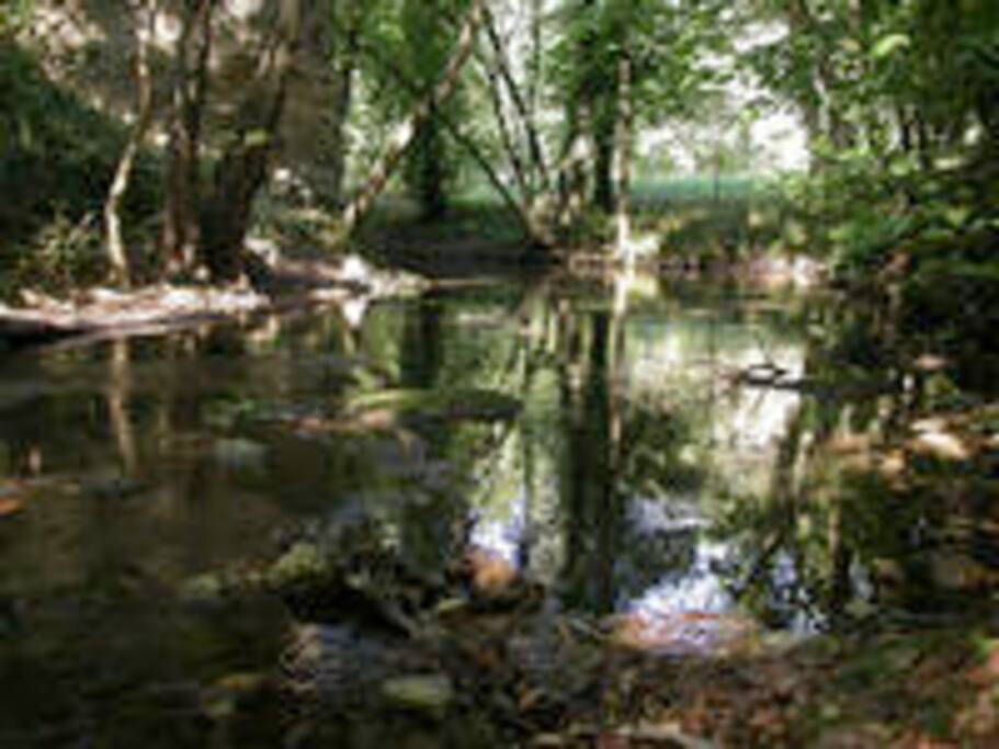 rivière du Gapeau