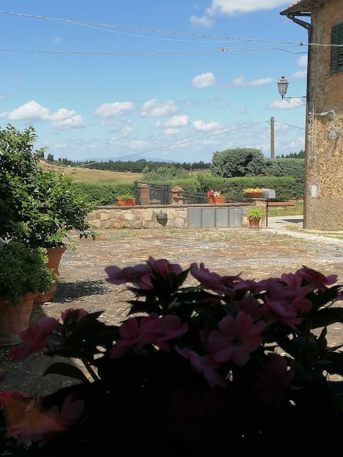Top performing Airbnb: Infinity pool in Chianti 1 in Barberino Tavarnelle