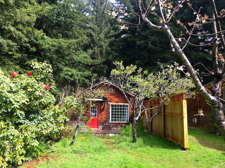 View of the front side of the cabin