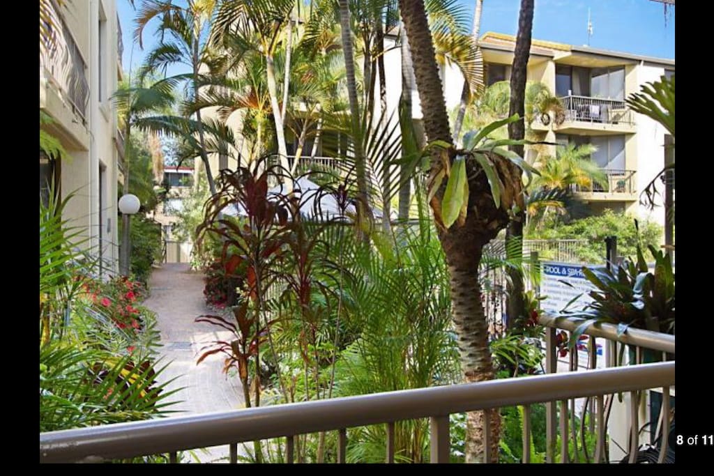 Tropical garden outlook in s quietly tucked corner by the pool a short stroll to Burleigh esplade .. there’s a whimsical invitation to the beach with the private gated access veiw ...
the magical gateway between worlds.. be drawn out for adventures day & night