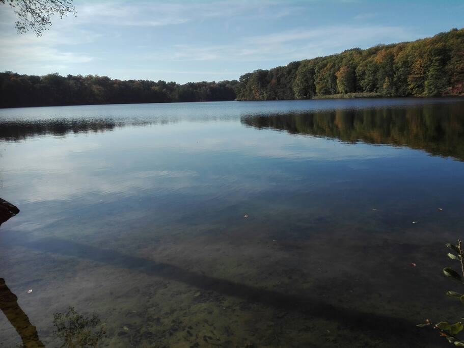 Herbst sm Schlachtensee