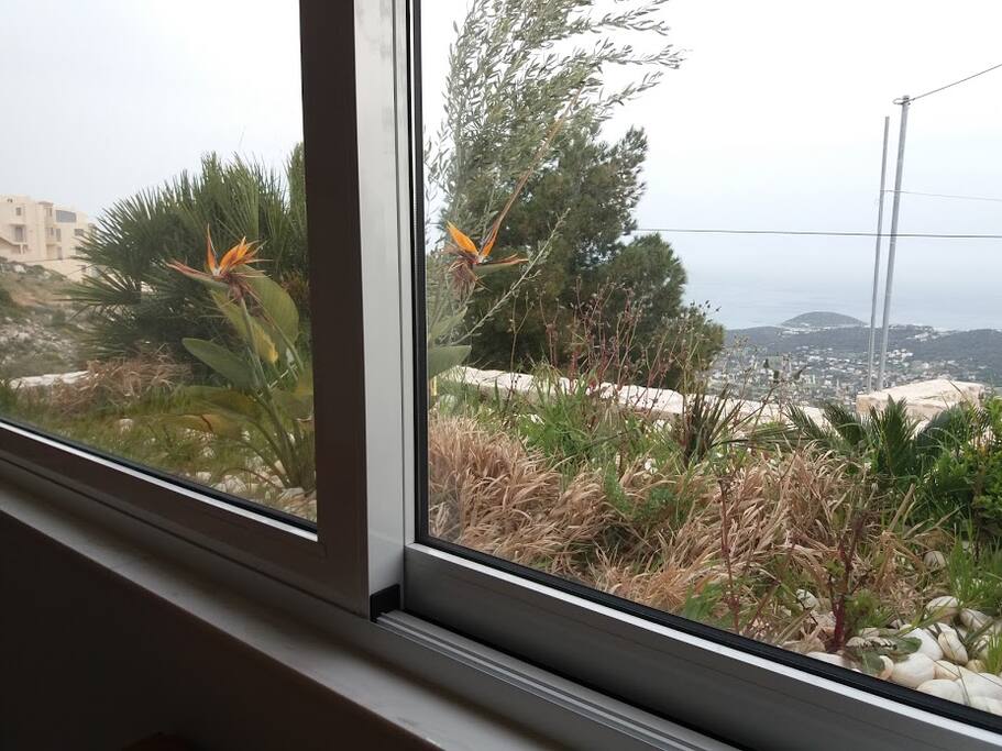 View of the landscape as is from the interior of the room