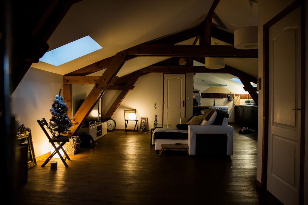 Loft de 65 m2 - vue de l'entrée Salon / Cuisine & Inay (le gros chat sur le dos qu'on aperçoit là à droite)