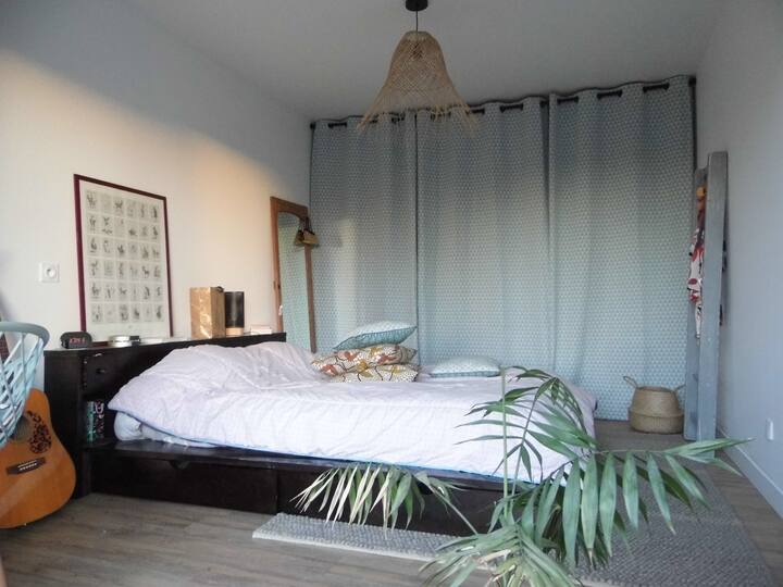 Habitación 1