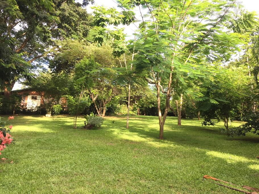 Zona verde